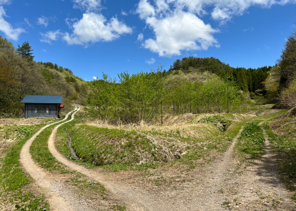 開墾前の田んぼ